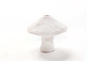 Champignon en Porcelaine - Étoile
