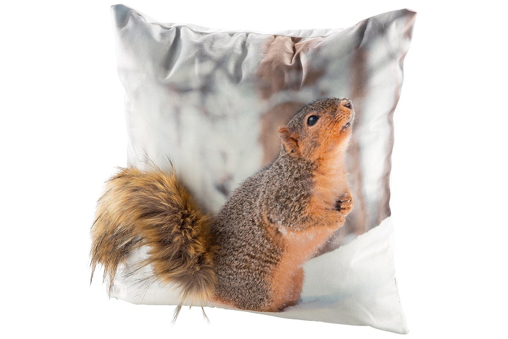 Coussin - Écureuil
