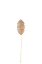 Feuille de Bambou/Bananier