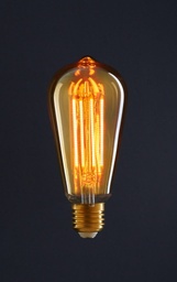 [80350] Ampoule Led Retro 64x145 (ND)