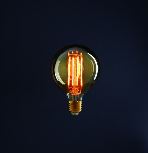 [80348] Ampoule Led Retro 95x135 (ND)