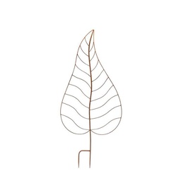 [81494] Pic de Jardin - Feuille