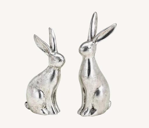 Lapin Assis