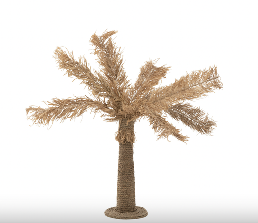 Palmier Nature - Ibiza
