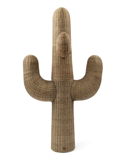 Cactus en Rotin