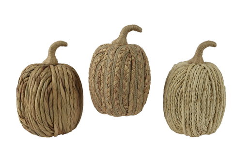 Courge - Jacinthe (grand)