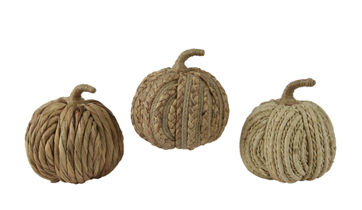 Courge - Jacinthe (petit)