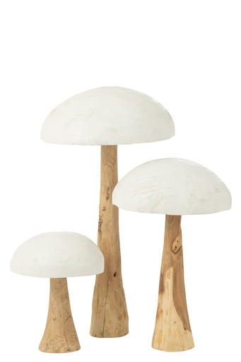 Champignon en Bois 