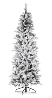 Sapin Enneigé - Tatlow