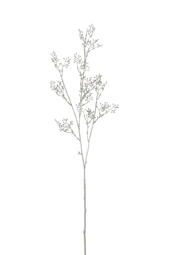 Branche - Baies Pailletées