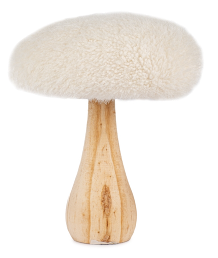 Champignon - Pied Bois