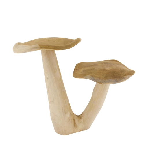 Champignon en Teck - Duo