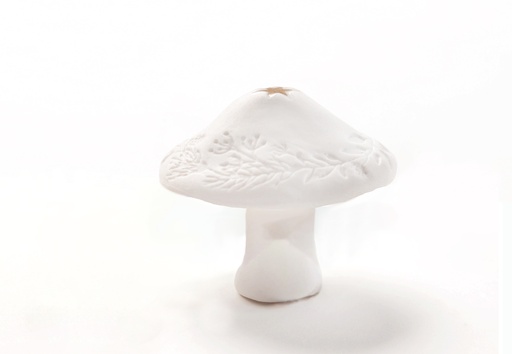 Champignon en Porcelaine - Étoile