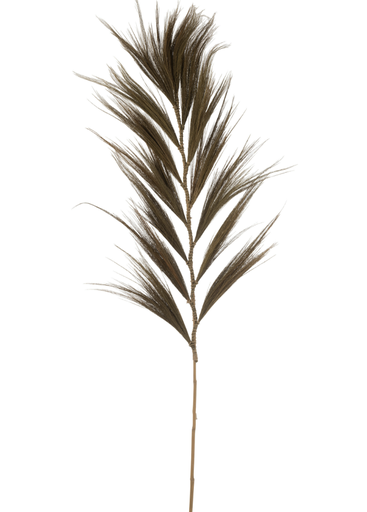 Branche - Herbe Marron 