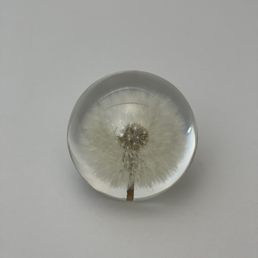 Boule Décorative - Dandelion 