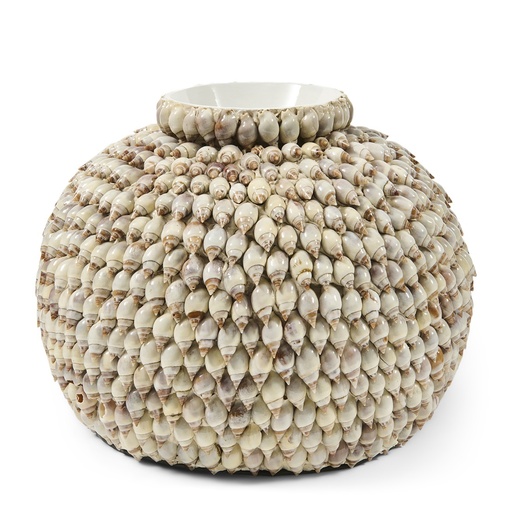 Vase - Shell